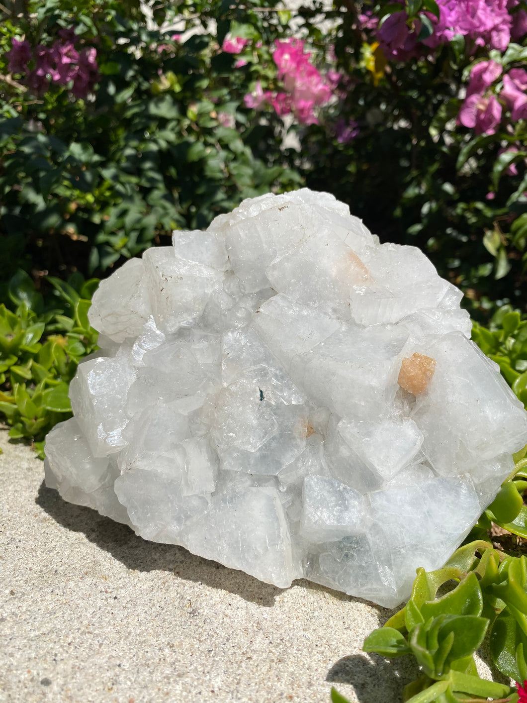 Apophyllite Cluster