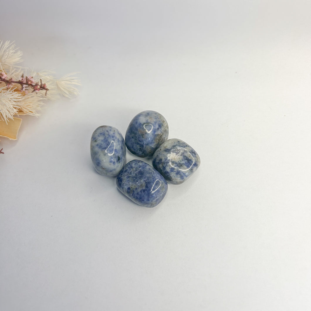 Blue Spot Jasper Tumble Stone